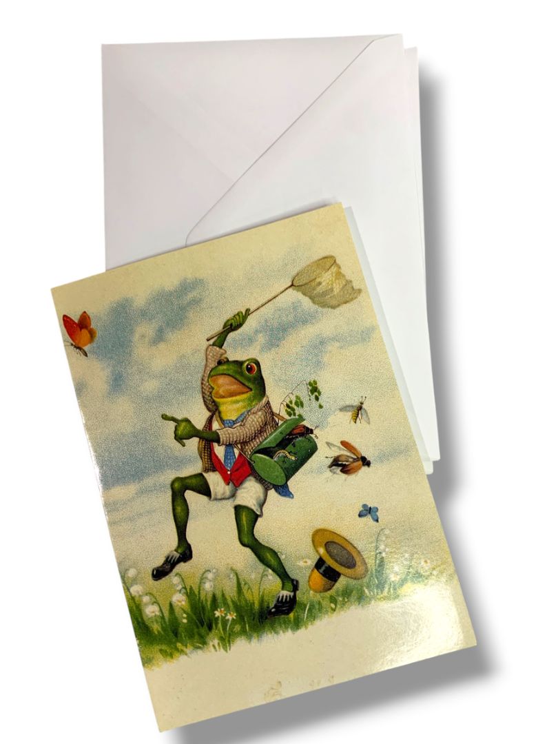 6 Greeting Cards with Envelopes The Lora Verner Collection of  Frogs Gift Pack