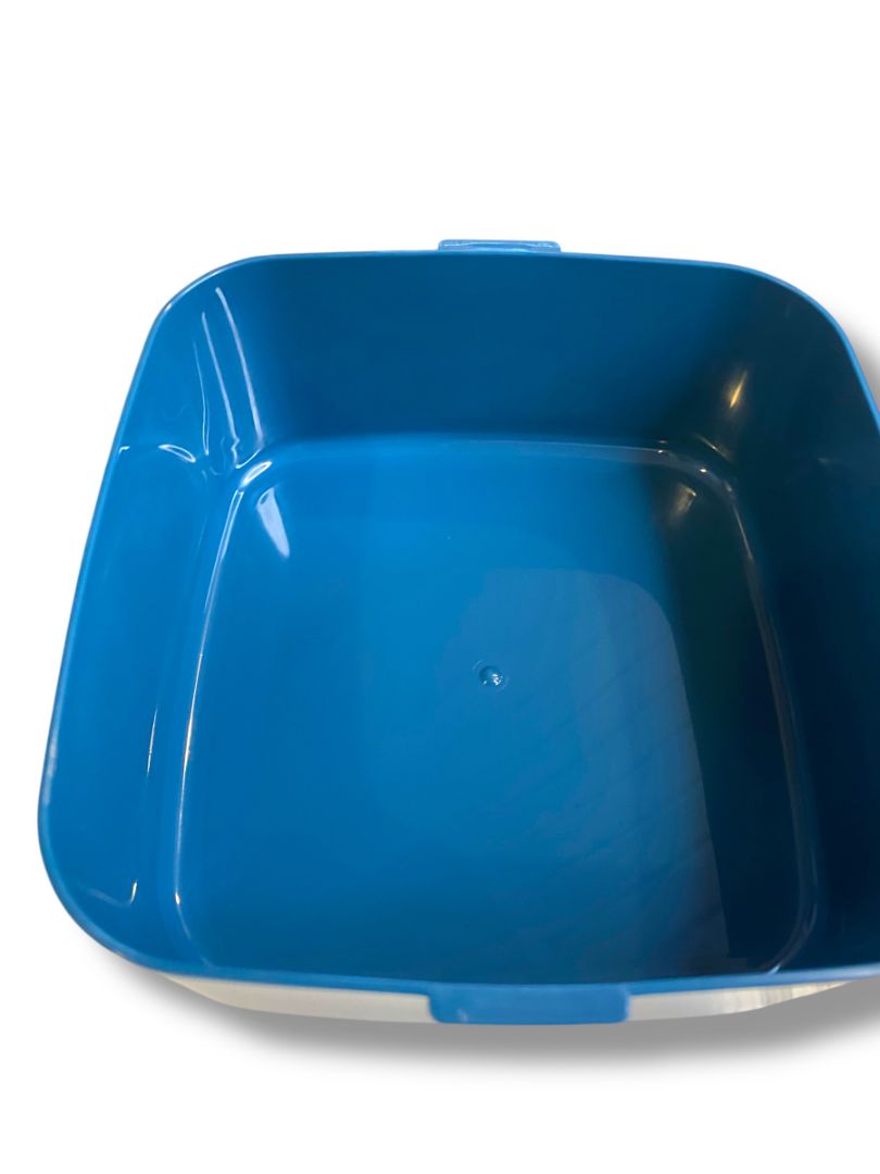 New eBay Bento Lunch Box Bundle  Food Container Travel Compartments Blue Yellow