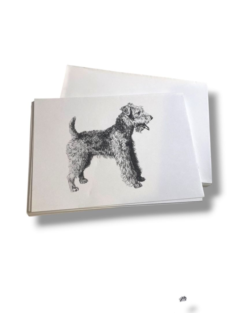 Set of 18 Blank Note Cards and Envelopes Welsh Terrier Pen Ink Print