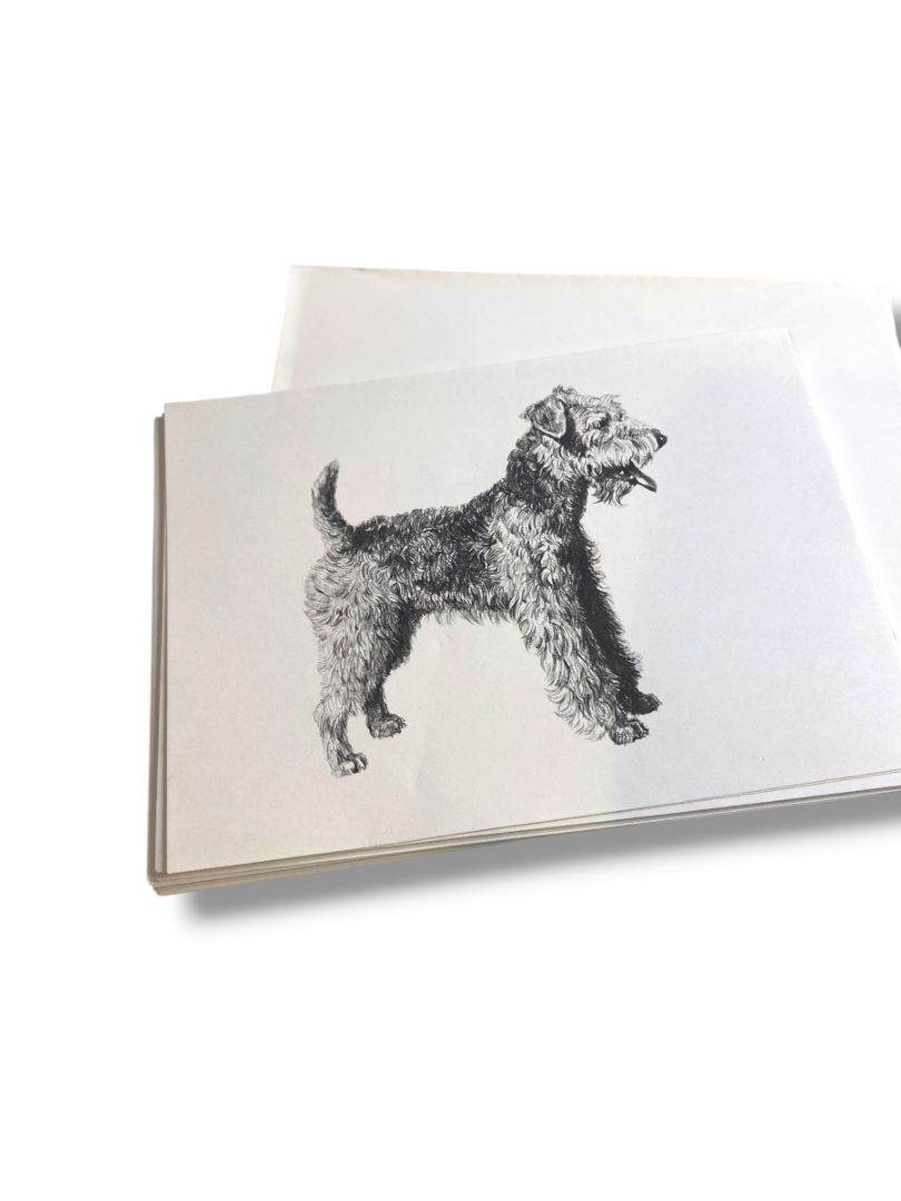 Set of 18 Blank Note Cards and Envelopes Welsh Terrier Pen Ink Print