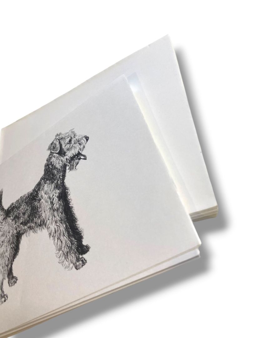 Set of 18 Blank Note Cards and Envelopes Welsh Terrier Pen Ink Print