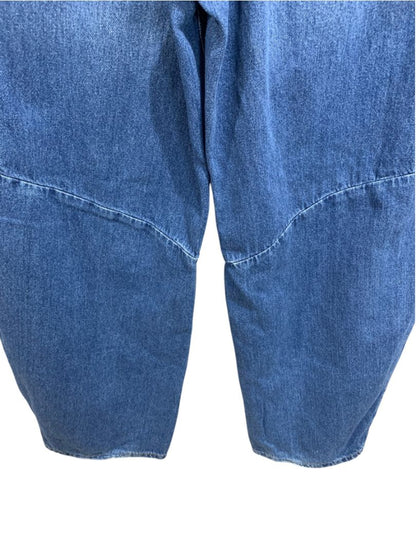 Size 27 Anthropologie Pilcro Georgia Full-Length High-Rise Barrel Jeans