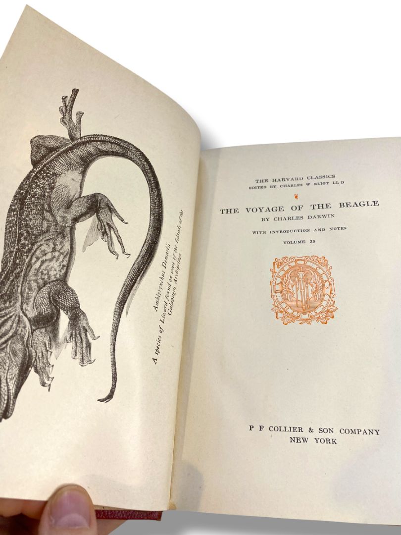 Harvard Classics 29 Voyage of the Beagle 1910 Hardcover Book Collier & Son
