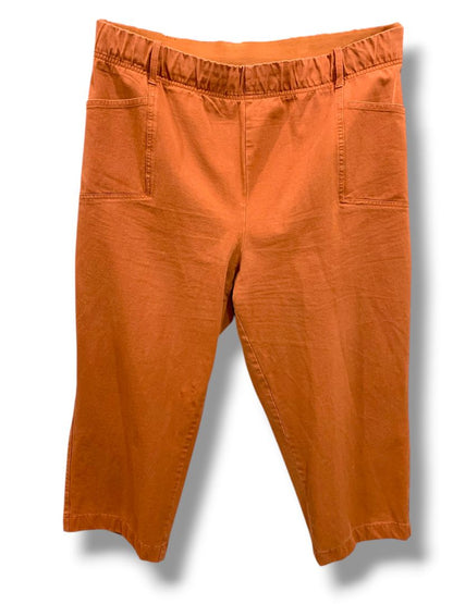 2XP Any Body Petite Womens Plus Size Rust Orange Pull On Pants Pockets Crop