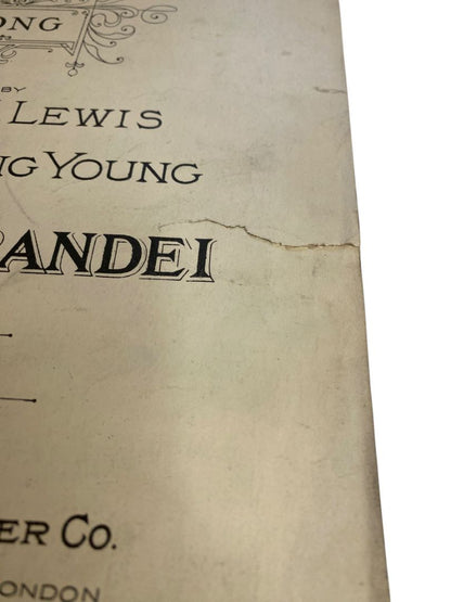 1920 Bring Back My Love Dreams Song Sheet Music Lewis Young Grandei