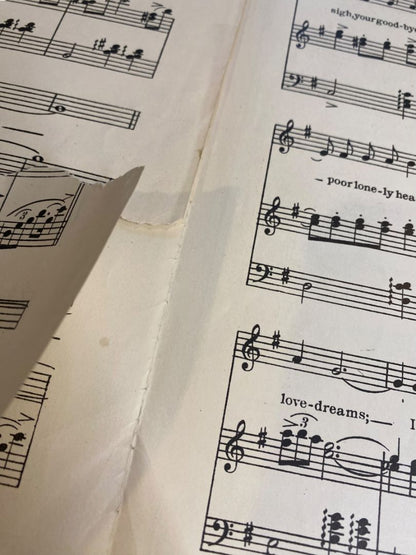 1920 Bring Back My Love Dreams Song Sheet Music Lewis Young Grandei