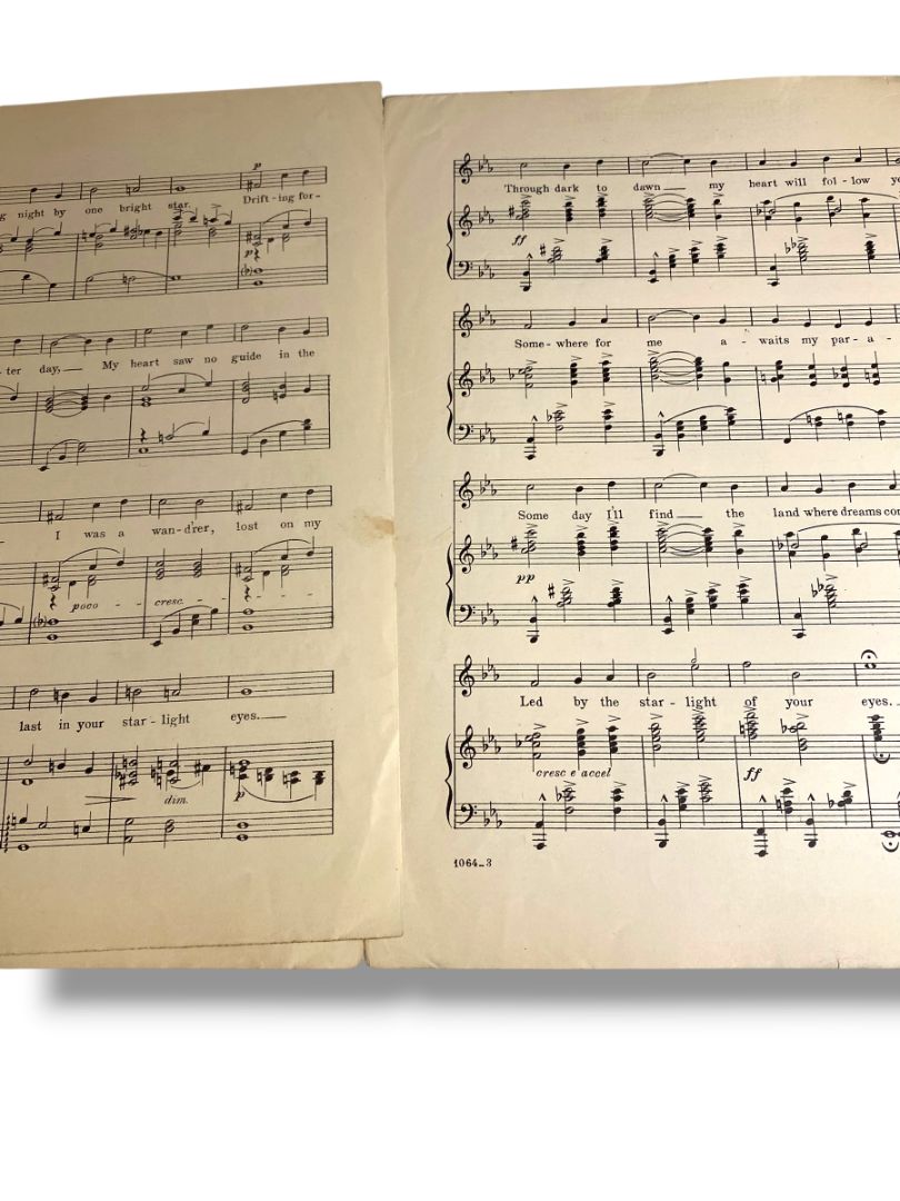 1920 The Starlight of Your Eyes Song Sheet Music Smith Grandei Waterson Berlin & Snyder