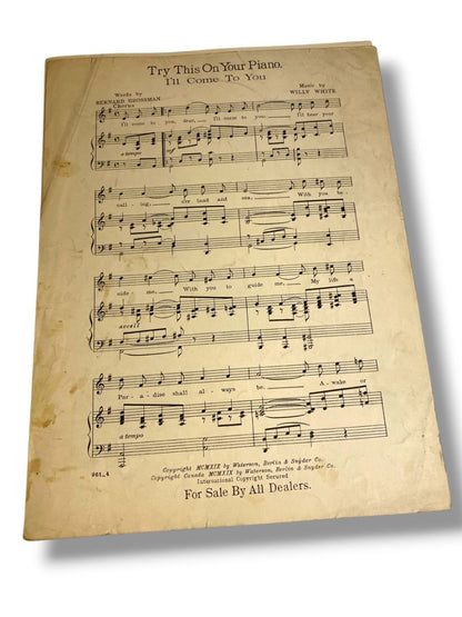 1920 The Starlight of Your Eyes Song Sheet Music Smith Grandei Waterson Berlin & Snyder
