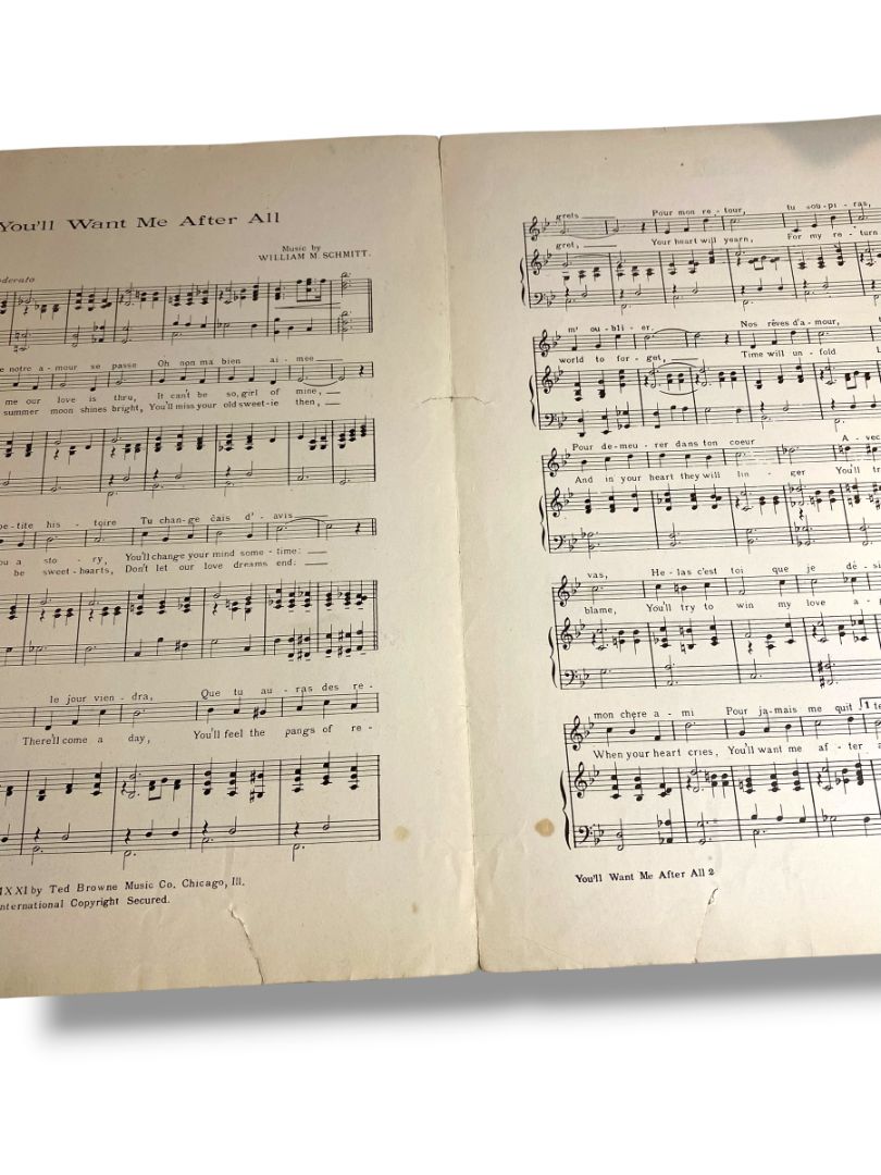 1921 You'll Want Me After All Sheet Music Matson Schmitt Ted Brown Music Co