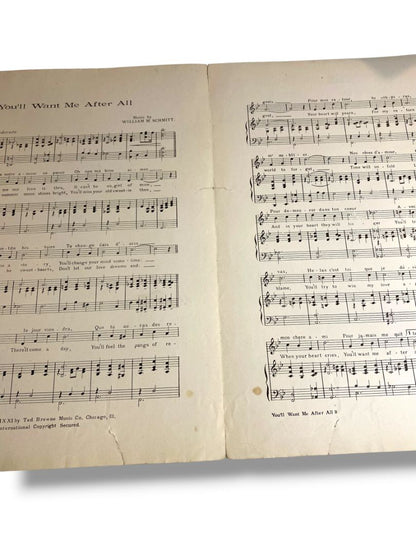 1921 You'll Want Me After All Sheet Music Matson Schmitt Ted Brown Music Co