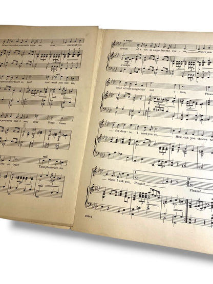 1920 Please Ballad Fox-Trot Sheet Music Callahan Roberts G. Schirmer