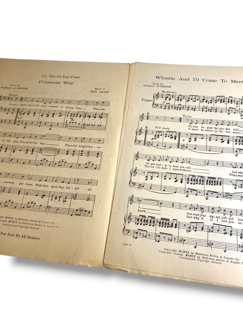 1920 Whistle and I'll Come to Meet You Sheet Music Cinderella on Broadway Atteridge