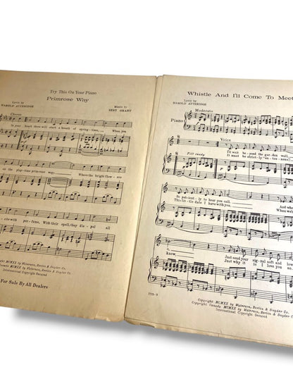 1920 Whistle and I'll Come to Meet You Sheet Music Cinderella on Broadway Atteridge