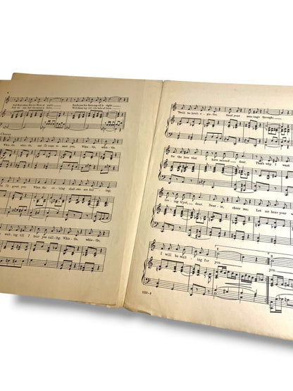 1920 Whistle and I'll Come to Meet You Sheet Music Cinderella on Broadway Atteridge