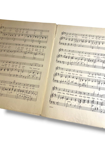 1920 Your Dream and Mine Song Sheet Music Smith Grandei Waterson Berlin & Snyder