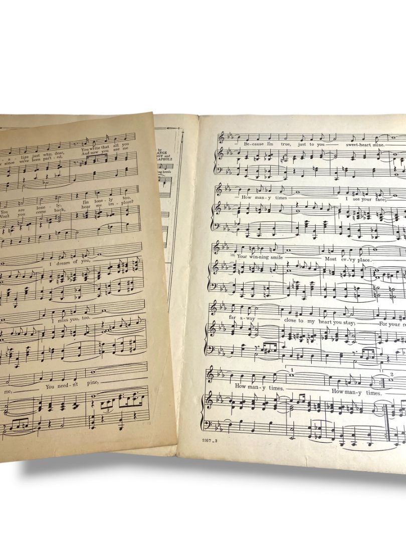 1921 How Many Times Sheet Music Turk and Robinson Series Waterson Berlin & Snyder