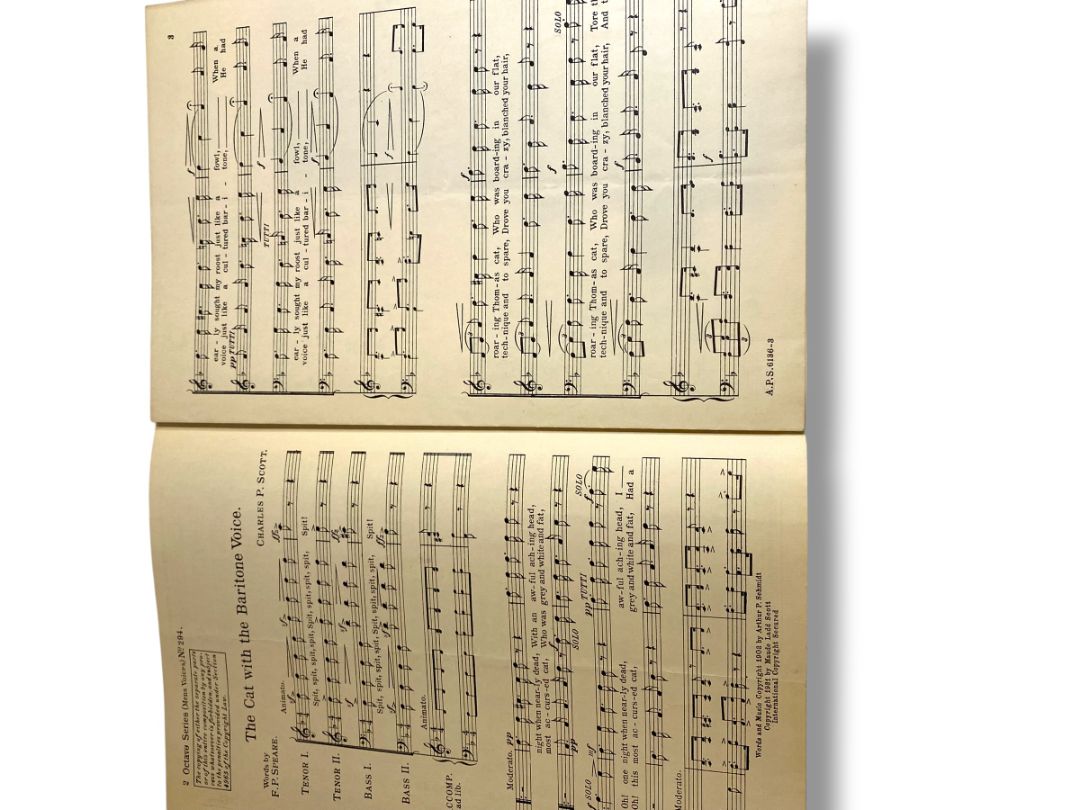 1931 Arthur P Schmidt's The Cat with the Baritone Voice Sheet Music