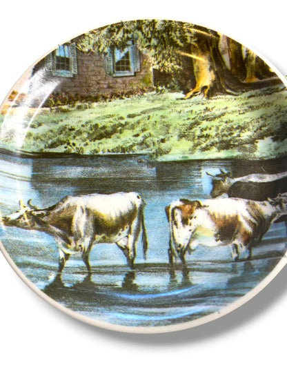 Set of 5 Vintage Melamine Drink Coasters Cattle Pond 4" Diameter