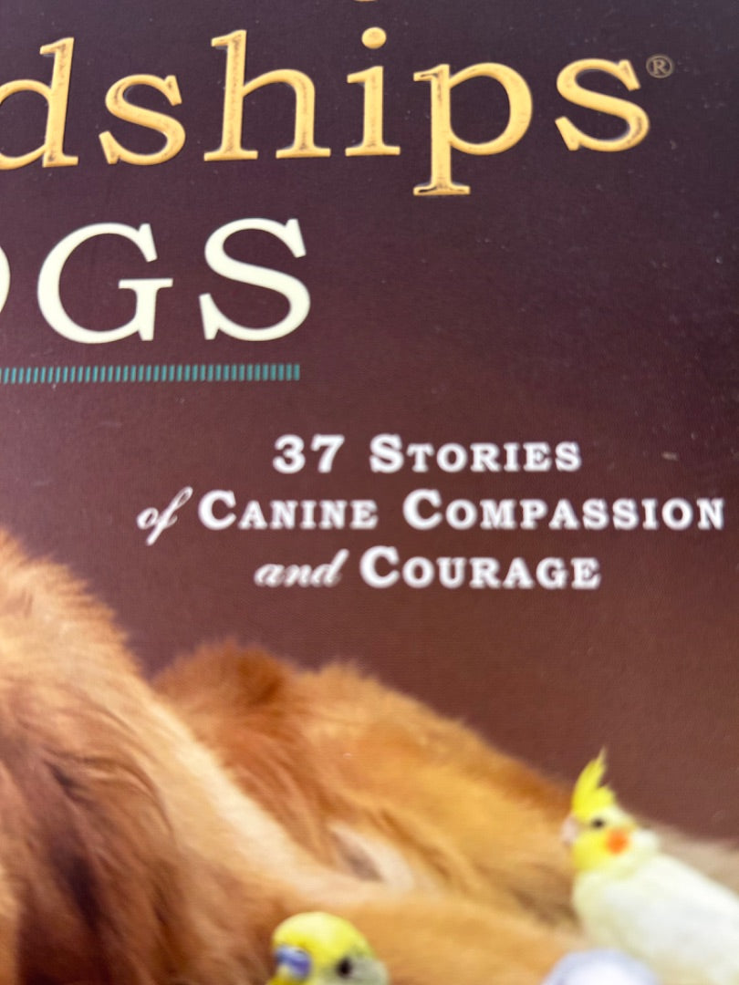 Unlikely Friendships: Dogs: 37 Stories of Canine Compassion Paperback