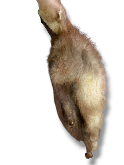 Vintage 3 Full Mink Stole Scarf Heads Tails 60" Fur Boa