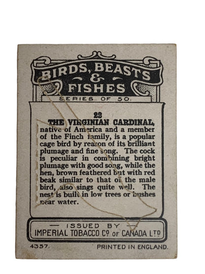 Cigarette Trading Cards Lot of 13 Birds Beasts & Fishes Imperial Tobacco Co Canada