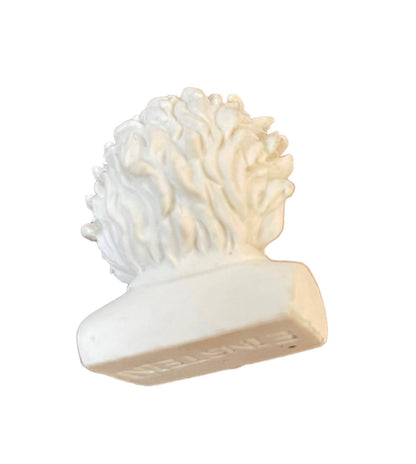 Design Idea Albert Einstein High Quality Detailed Eraser White