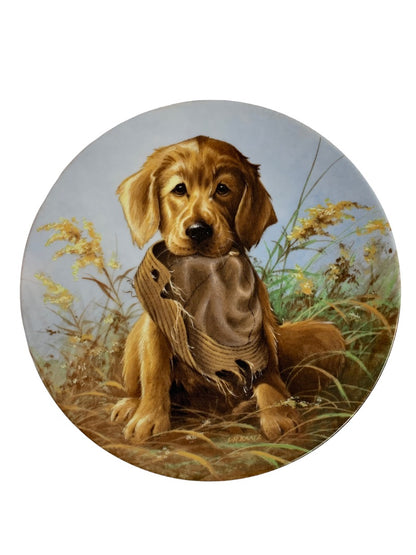 1987 Knowles Collectible Plate Lynn Kaatz " . . . Golden Retriever" 8.5" Diameter