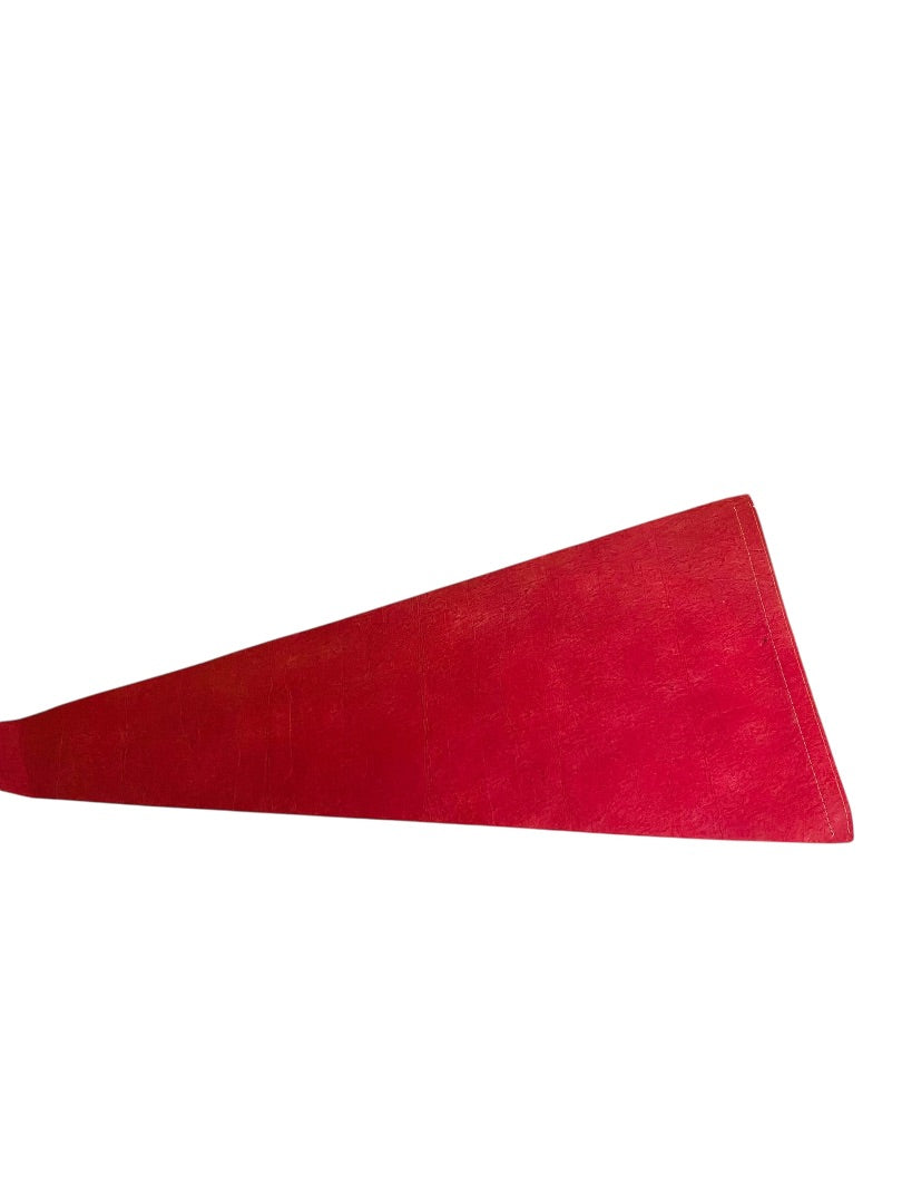 Vintage 30 Inch Reading Phillies Pennant Souvenir Felt Flag Baseball