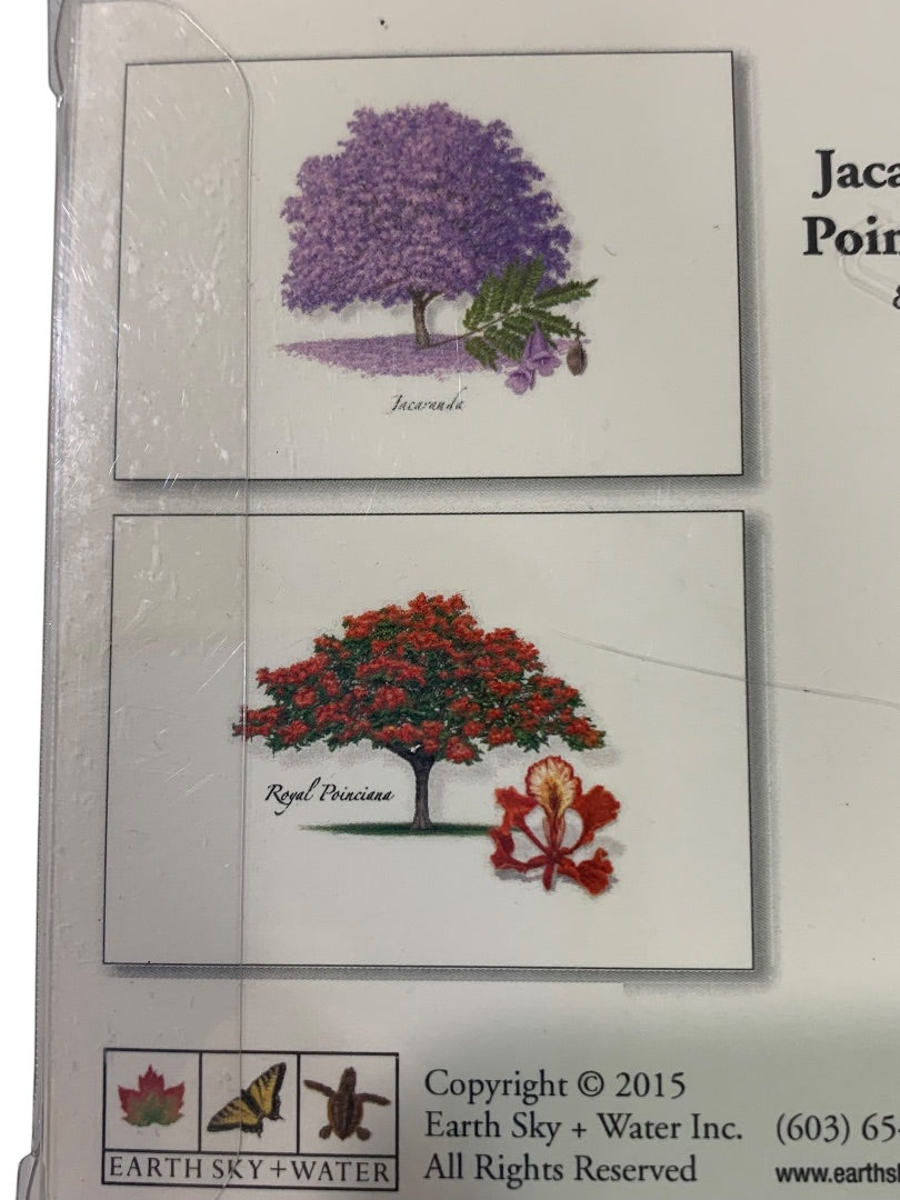 Set of 8 Notecards and Envelopes Jacaranda and Royal Poinsiana New