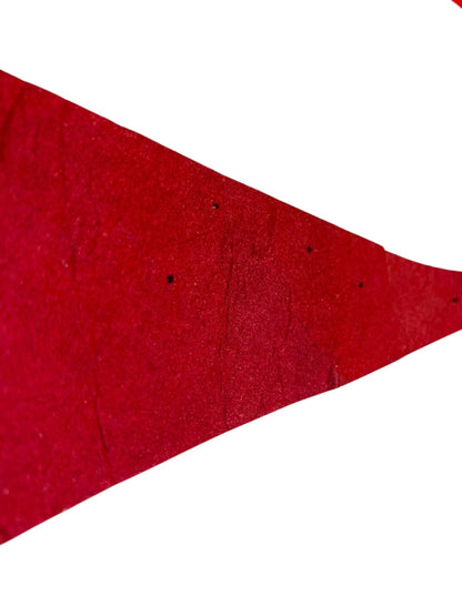 Vintage 30 Inch Reading Phillies Pennant Souvenir Felt Flag Baseball