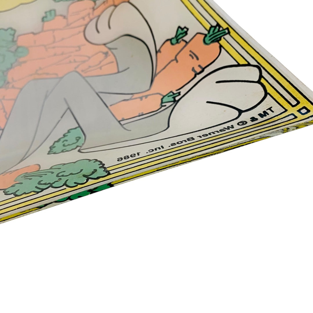 1986 Warner Bros. Bugs Bunny What’s Up Doc? Cartoon Glass Ceiling Light Shade