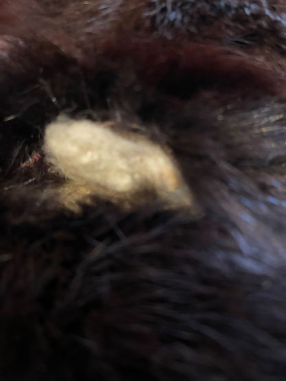 Vintage Mink Fur Teddy Bear Plush Stuffed Animal 9"