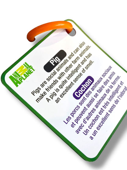 Set of 3 Holograph Flip Cards on Ring Ocean Animals Insects Learning