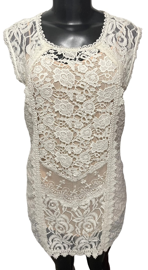 XS Champagne & Strawberry Lace Mini Dress Buttons Lined Ivory Nude Lining