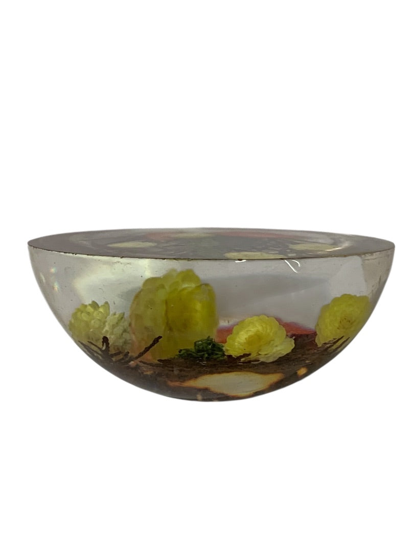 Vintage Acrylic Paperweight Wildflower 2.8 Inch Diameter
