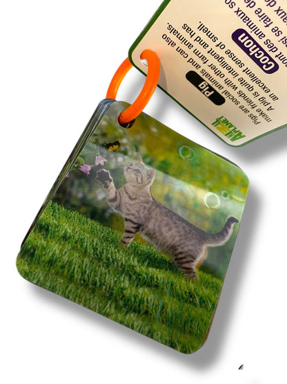 Set of 3 Holograph Flip Cards on Ring Ocean Animals Insects Learning