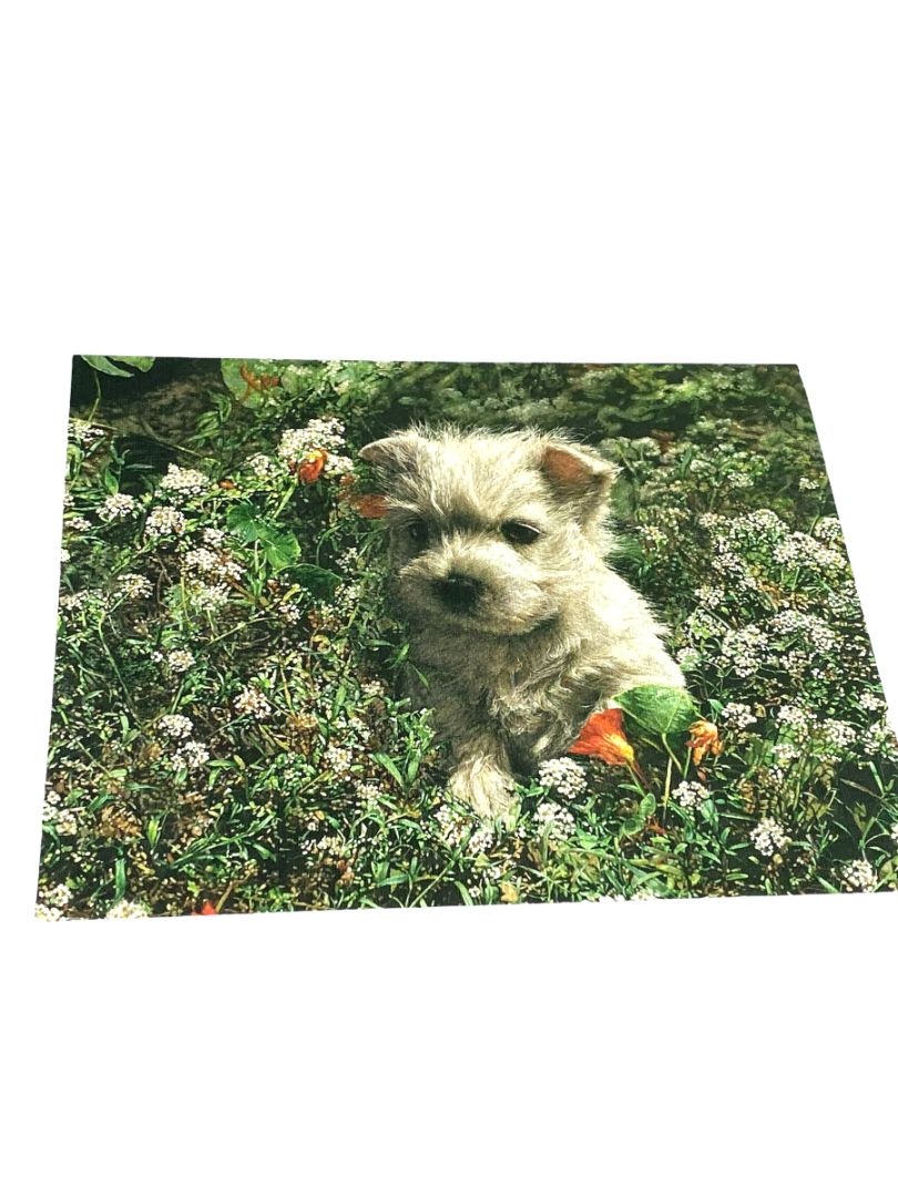 NEW Lang Westie Terrier Dog 13 Linen Embossed Blank Card Set Thank You Any Occasion