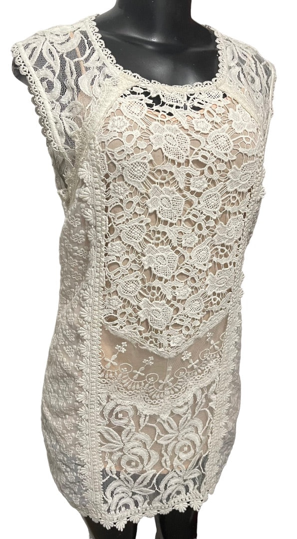 XS Champagne & Strawberry Lace Mini Dress Buttons Lined Ivory Nude Lining