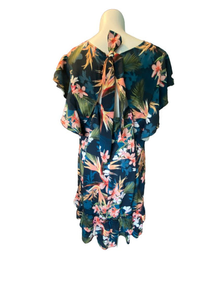 3 Plus Fashion to Figure Flare Ruffle Dress NWT