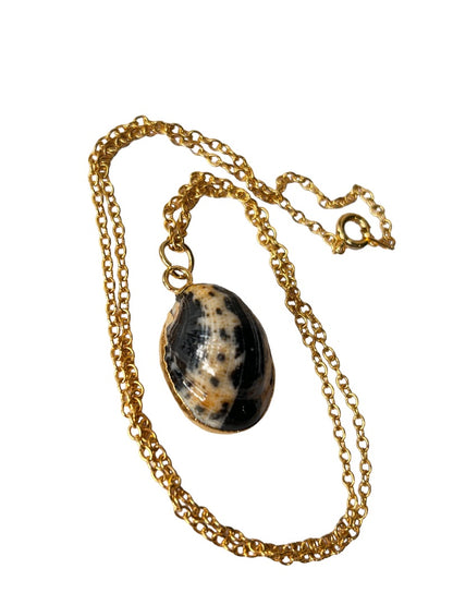 Goldtone 18" Chain Necklace Naural Shell Pendant Beachy Design Small Delicate