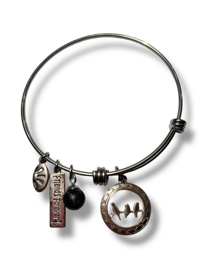 Silvertone Adjustable Bangle Bracelet Charms "Friends Forever"