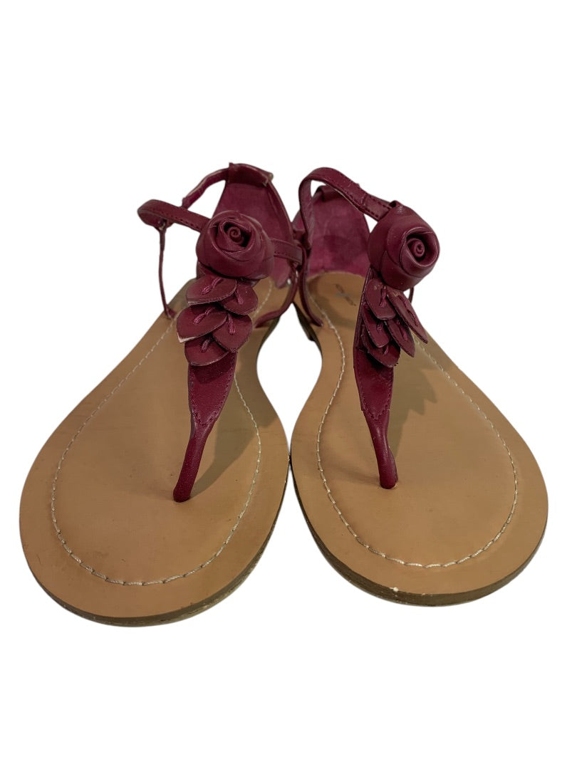 Size 8 Jaclyn Smith Womens Flat Sandals Rosette Belle Raspberry Color