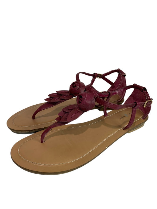 Size 8 Jaclyn Smith Womens Flat Sandals Rosette Belle Raspberry Color