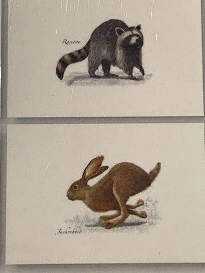 Set of 8 Notecards and Envelopes Small Mammal Assortment New