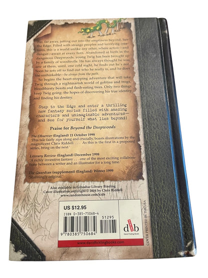 Set of 4 The Edge Chronicles Paul Stewart & Chris Riddell #1-4 Hardcover Books