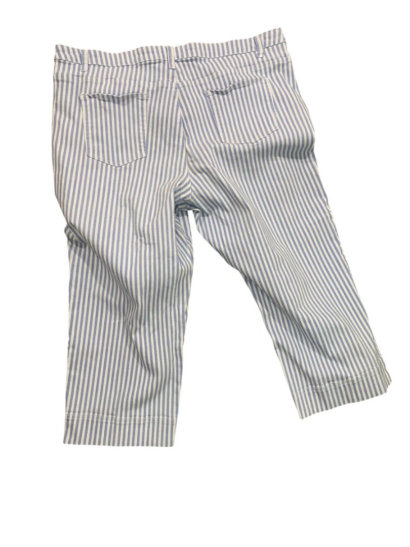 22W Coldwater Creek Womens Blue White Striped Crop Denim Pants