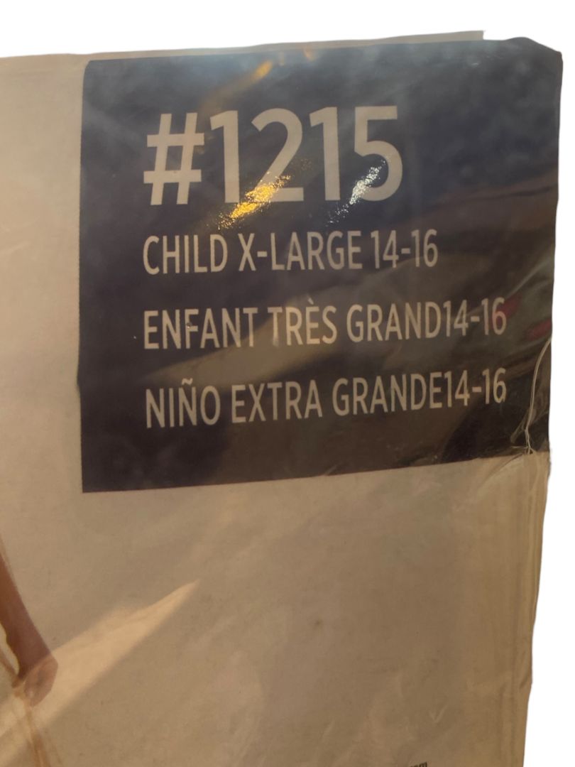 Size XL (14/16) Golden Princess Costume #1215 Amscan Dress Sheer Sleeves Crown