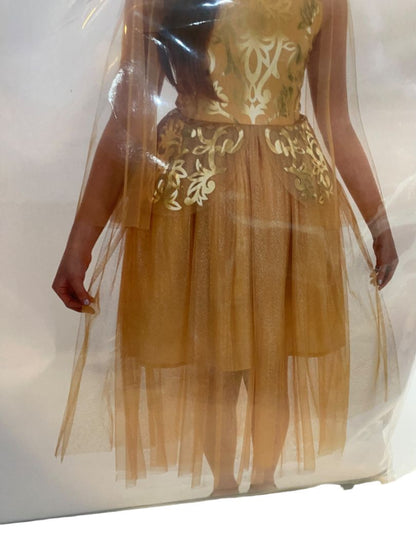 Size XL (14/16) Golden Princess Costume #1215 Amscan Dress Sheer Sleeves Crown
