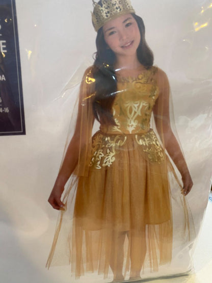 Size XL (14/16) Golden Princess Costume #1215 Amscan Dress Sheer Sleeves Crown