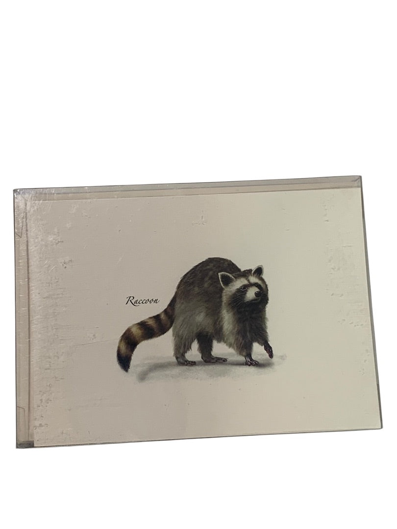 Set of 8 Notecards and Envelopes Small Mammal Assortment New